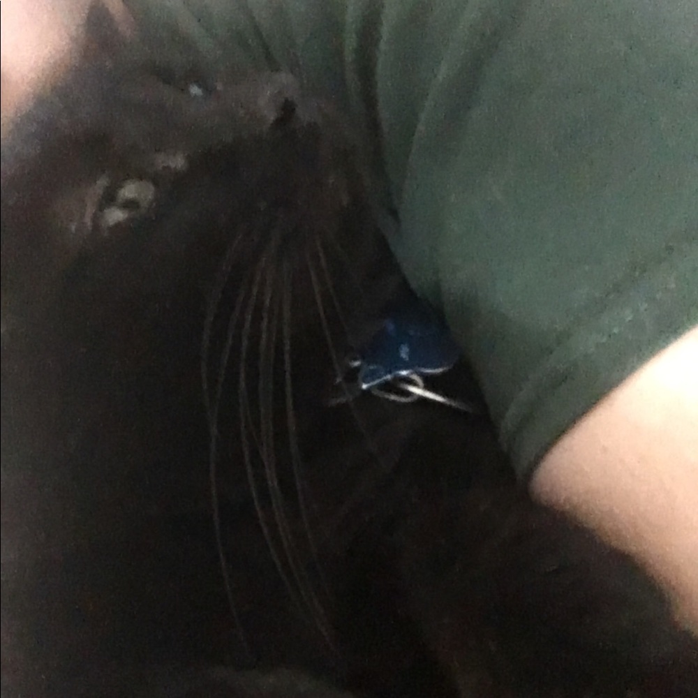 Sweetness